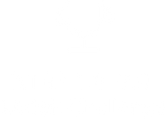 NTRP 1.0–7.0 Match Challenge