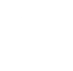 Pro-Level Performance
