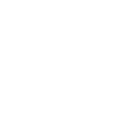 Seamless Experience