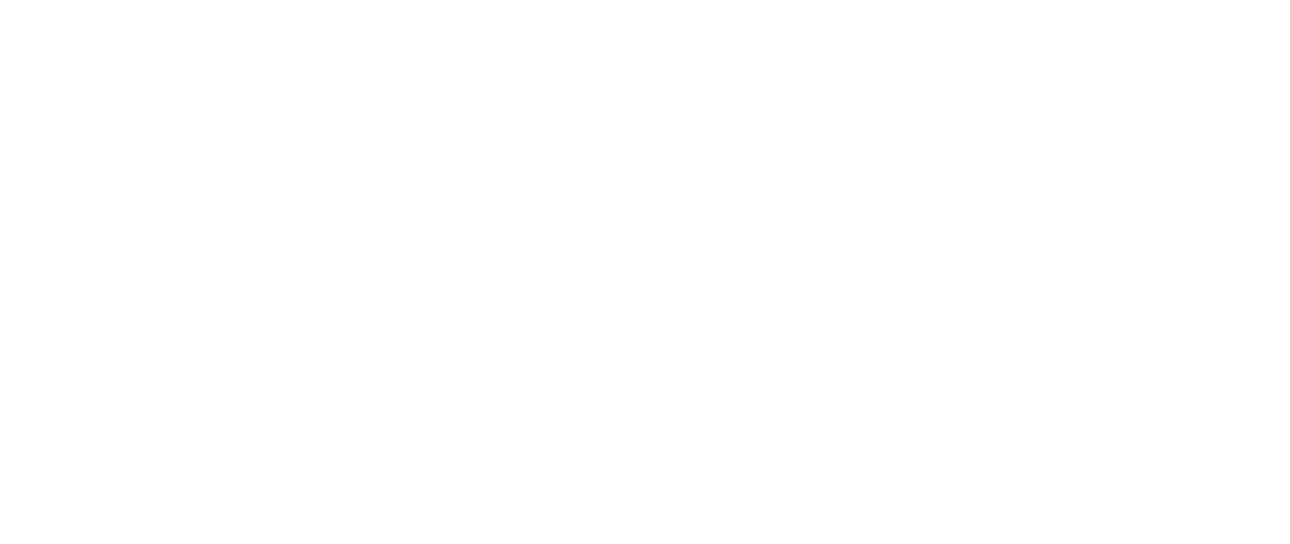 AO Pongbot Official Partner